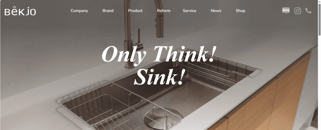 1. baekjo sink