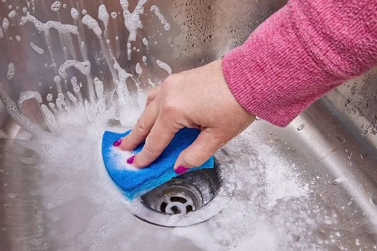 scrub the sink